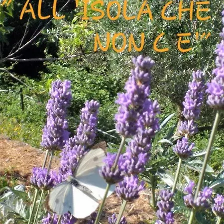 Lantgård Agriturismo All'isola Che Non C'e' *