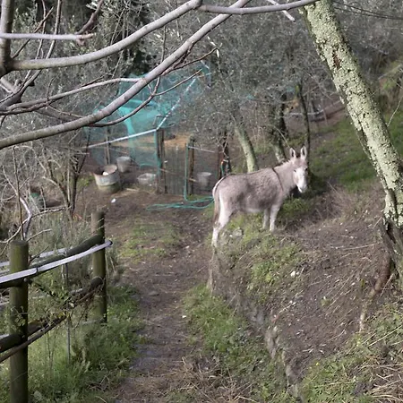 בית חווה Agriturismo All'isola Che Non C'e' *