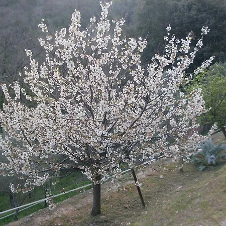 Agriturismo All'isola Che Non C'e'