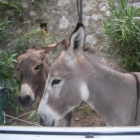 Agriturismo All'isola Che Non C'e' 팜스테이 *