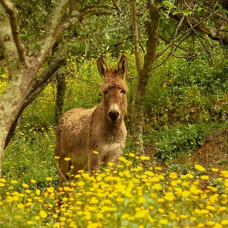 Agriturismo All'isola Che Non C'e' * 라스페치아